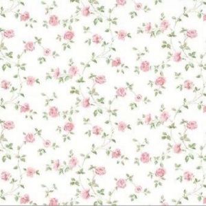 Meet your Posher, Elisa